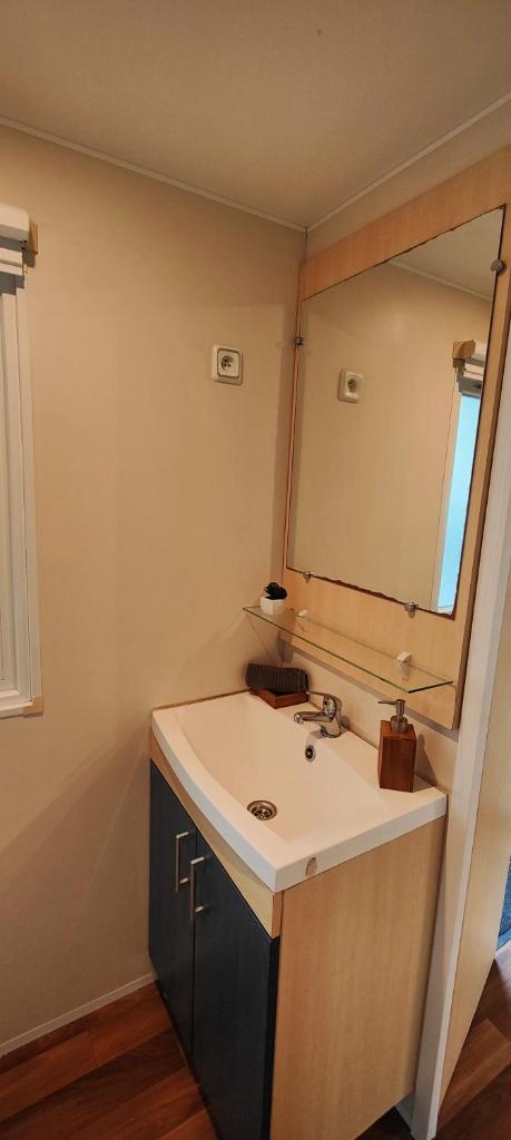 une salle de bain avec un lavabo et un miroir dans l'établissement Mobil home 5-6 personnes, à Carnac