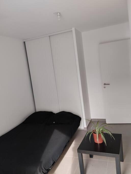 Appartement T3 gare st rock 3