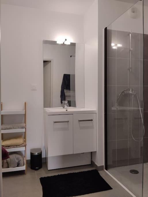 Appartement T3 gare st rock 5