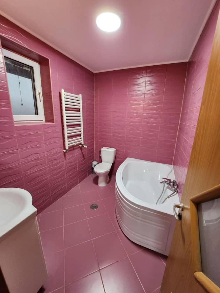 VILLA CAISULUI Dobroesti 3
