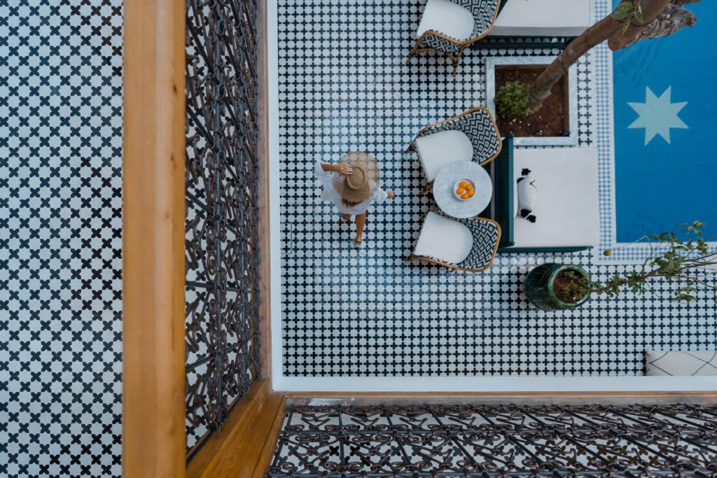un chat est debout sur un mur carrelé dans l'établissement Riad Botanica, à Marrakech