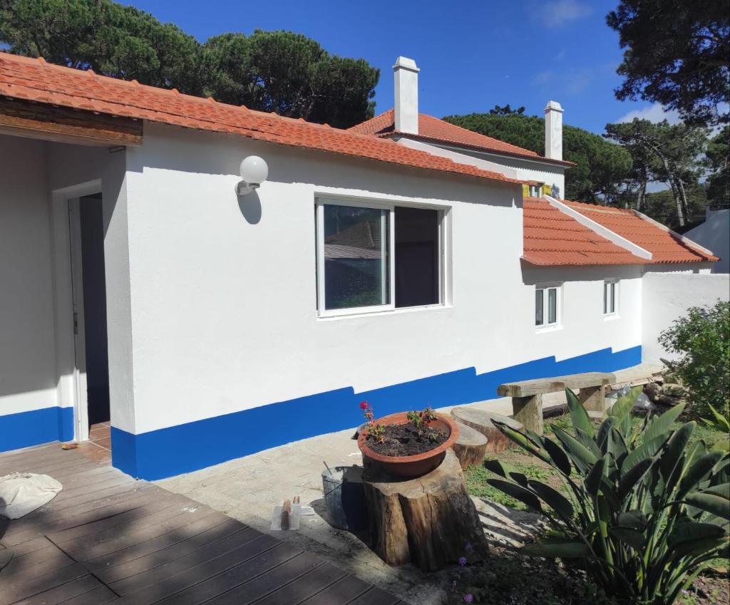 Casinha do pinhal 6