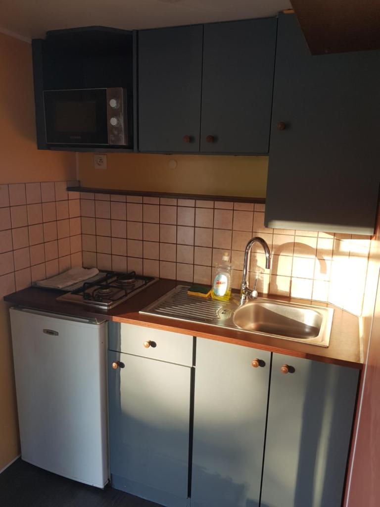 une petite cuisine avec un évier et un micro-ondes dans l'établissement Cottage flottant Saint Jean de Losne option jacuzzi, à Saint-Jean-de-Losne