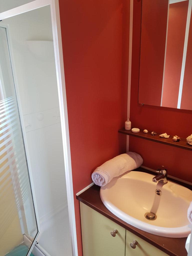 une salle de bain avec un lavabo et une douche dans l'établissement Cottage flottant Saint Jean de Losne option jacuzzi, à Saint-Jean-de-Losne