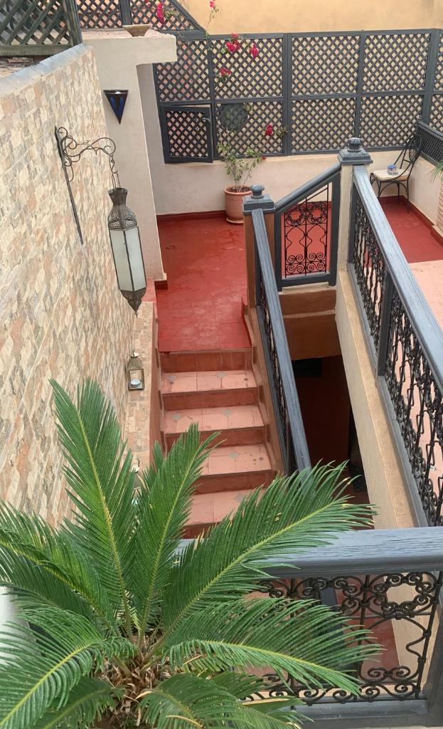 un escalier avec un palmier à côté d'un bâtiment dans l'établissement Riad Le Roy’s, à Marrakech