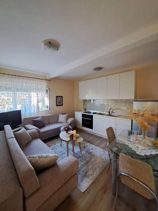 Quiet, Cozy, Luminous Apartment 2