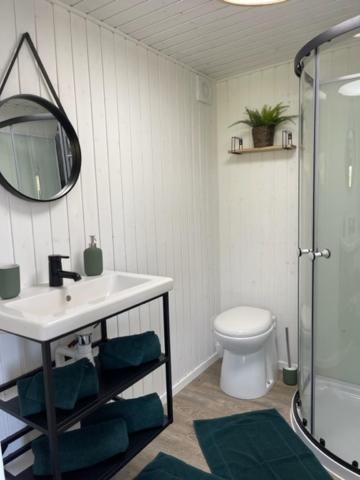 une salle de bain avec un lavabo, des toilettes et un miroir dans l'établissement Gîte Seine & Nature Le Bâbord, à Bennecourt