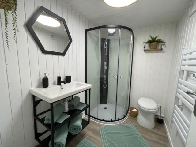 une salle de bain avec une douche, un lavabo et des toilettes dans l'établissement Gîte Seine & Nature Le Bâbord, à Bennecourt