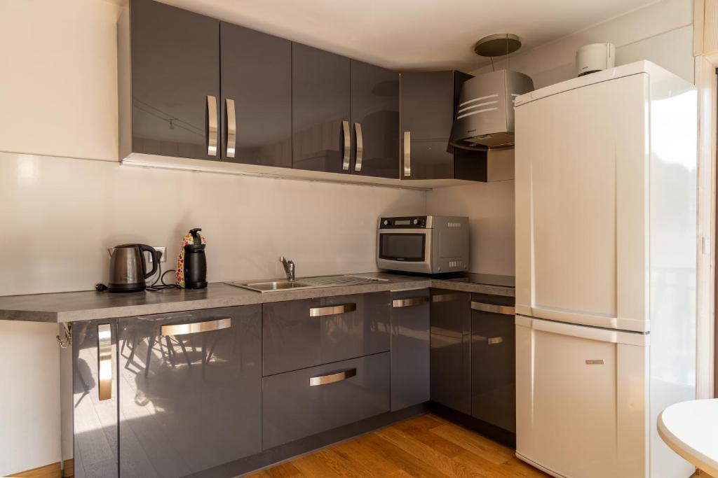 une cuisine avec des placards en acier inoxydable et un four micro-ondes dans l'établissement Apartment Grizzly - 2 bedrooms - Ski in/out- Les Gets, aux Gets 8 autres photos