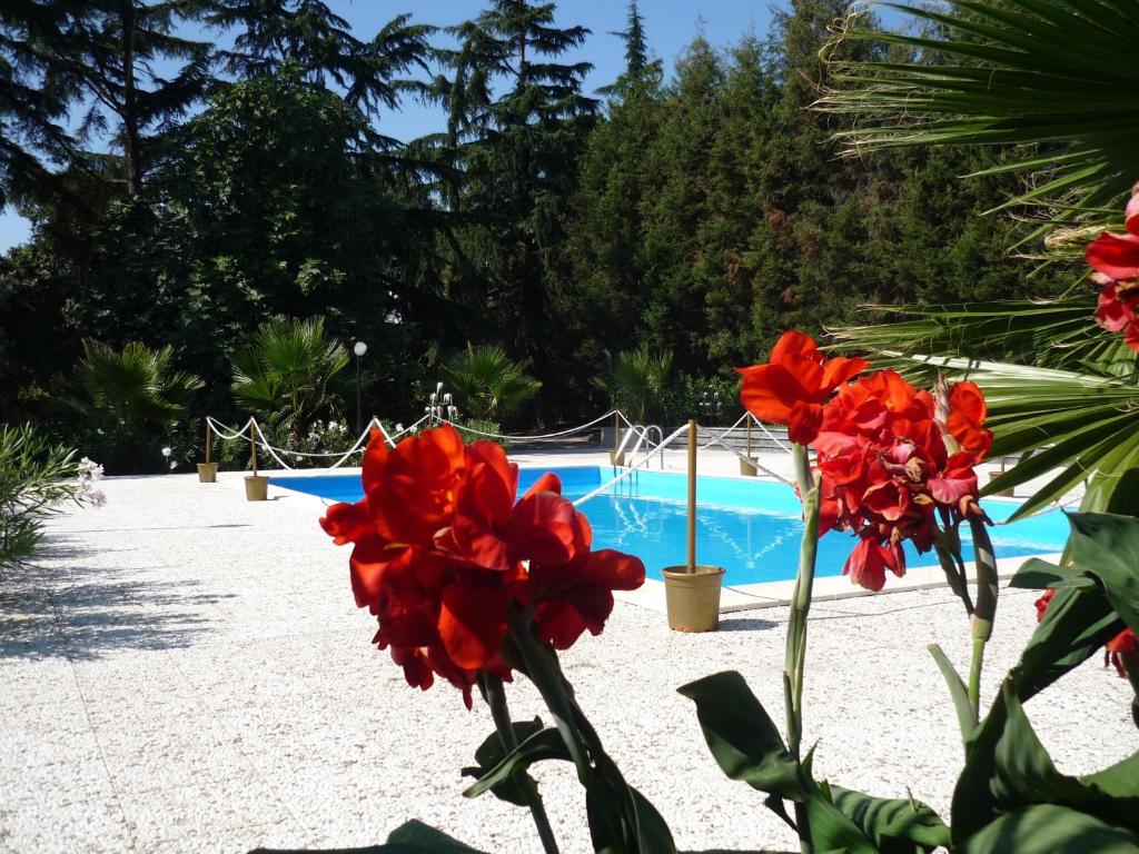 une piscine avec des fleurs rouges en face de celle-ci dans l'établissement Villa Solaria, à Santa Venerina 8 autres photos