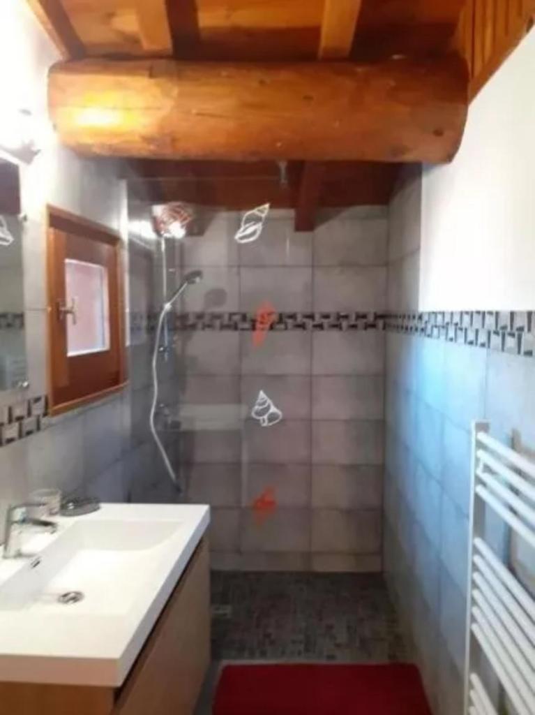 une salle de bain avec un lavabo et une douche dans l'établissement Le Rhododendron, à La Plagne Tarentaise 10 autres photos