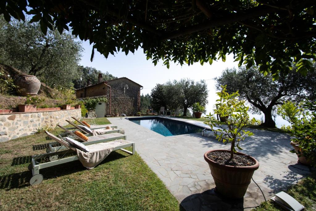 - une piscine avec 2 chaises longues et un pot dans l'établissement Villa Iris with Swimming Pool, à Capannori