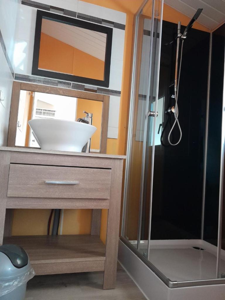 une salle de bain avec un lavabo et une douche dans l'établissement Location Mobil home Camping Pédro, au Grau-dʼAgde 31 autres photos