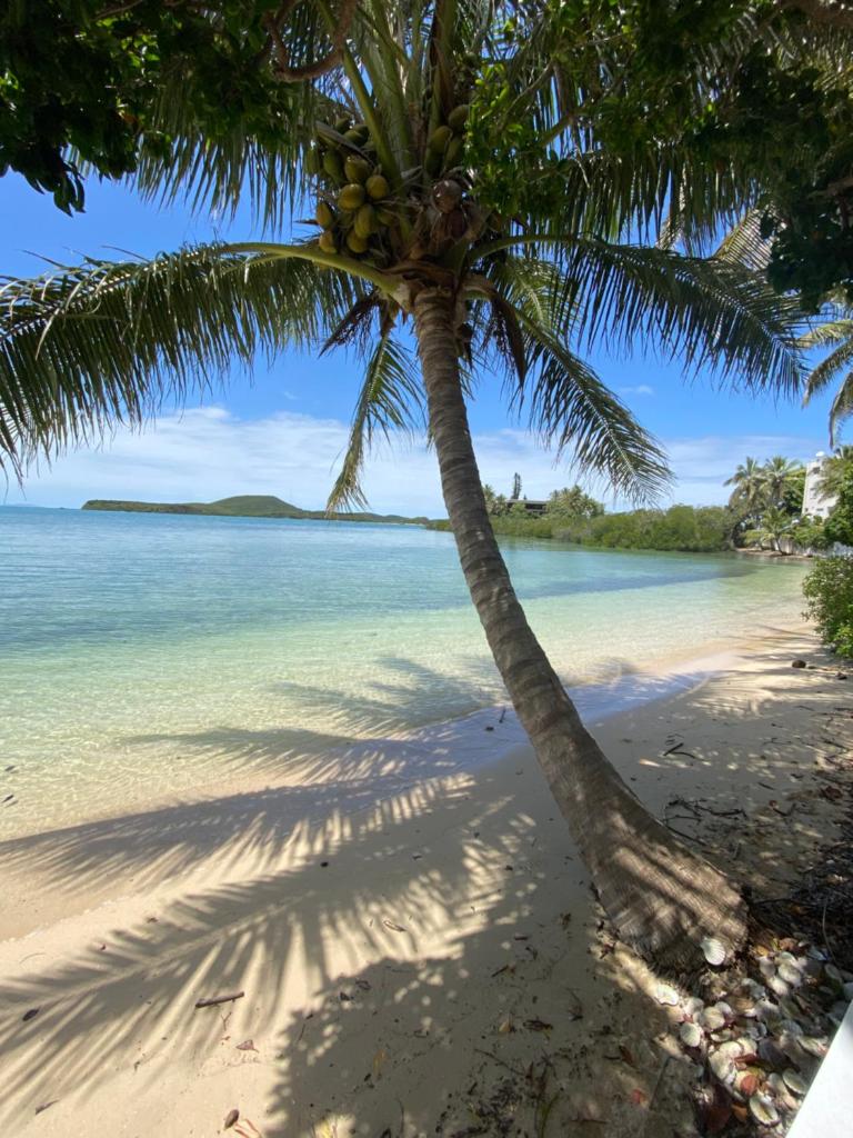 Michelle Family Homestay by the Sea 8
