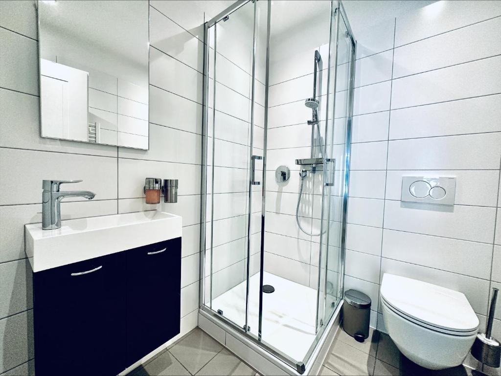 Business Apartment ZIMMERzuVERMIETEN in Solothurn 6
