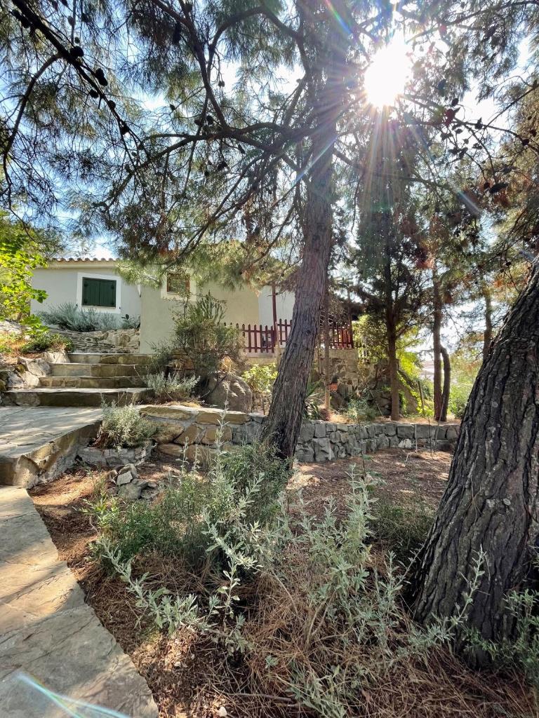 Kalyva Cottage 6