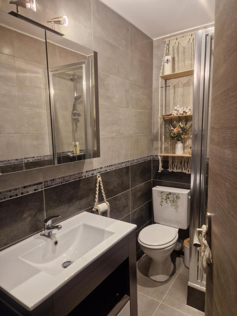une salle de bain avec un lavabo et des toilettes dans l'établissement Le Mont Bohème, à Saint-Gervais-les-Bains