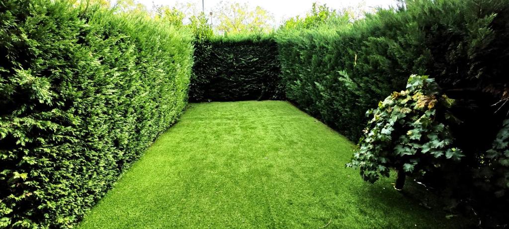 Vistas Río Tormes Huerta Otea 5