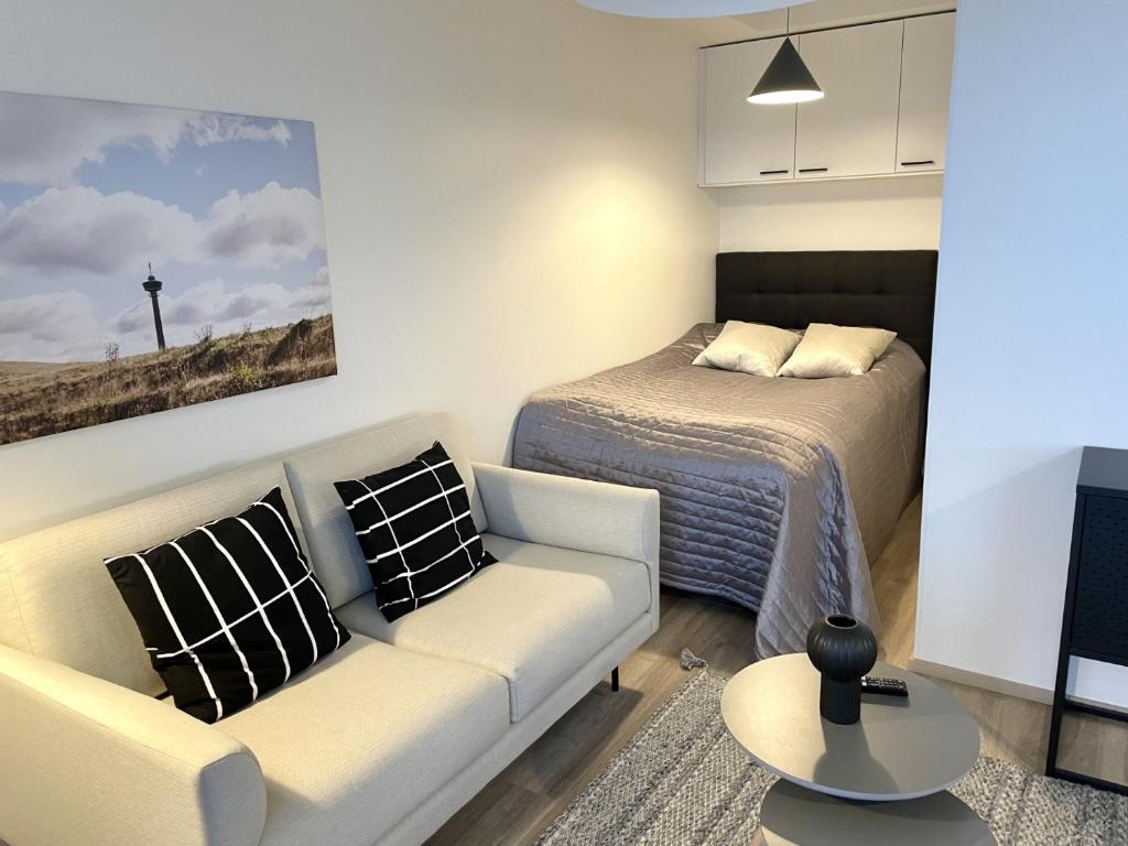Bright studio apartment near the centre 2