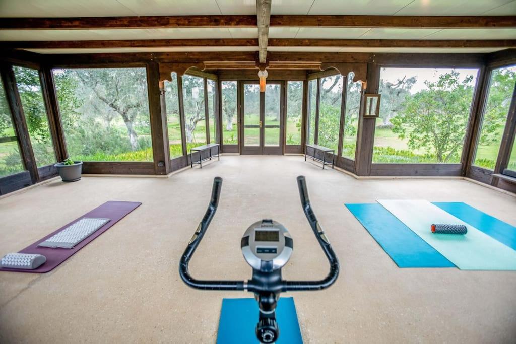 - une salle de sport avec plusieurs tapis de yoga dans une pièce dotée de fenêtres dans l'établissement Torre Guaceto Luxury Masseria with Salted Pool, à Serranova