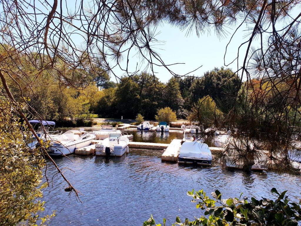 un groupe de bateaux est amarré dans une rivière dans l'établissement Mobile home n°261 2chambres à 2 pas du lac !, à Gastes 7 autres photos
