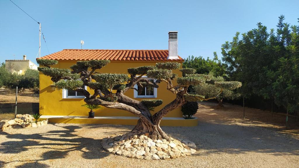 Casa Eli 6