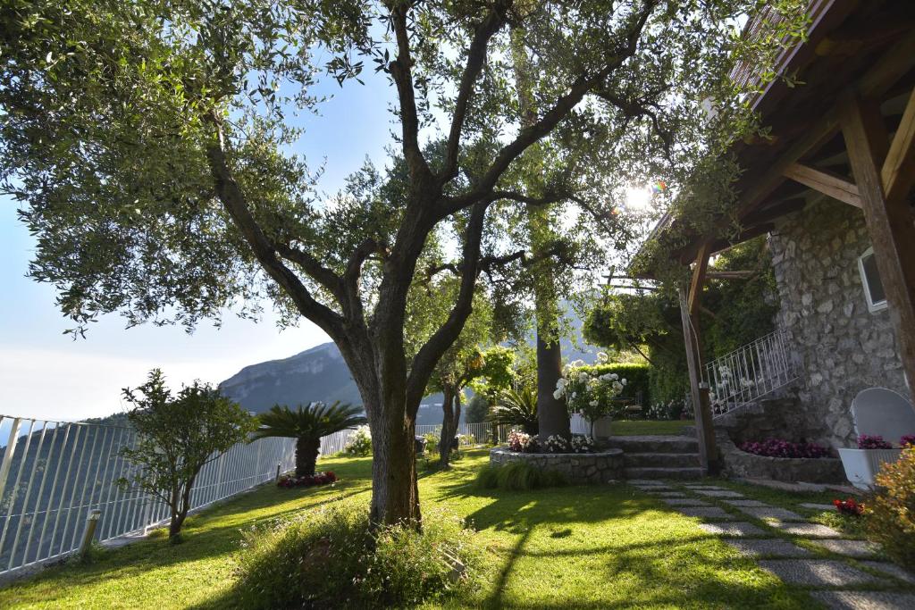 une maison avec un arbre dans la cour dans l'établissement Villa Eustachio, à Scala