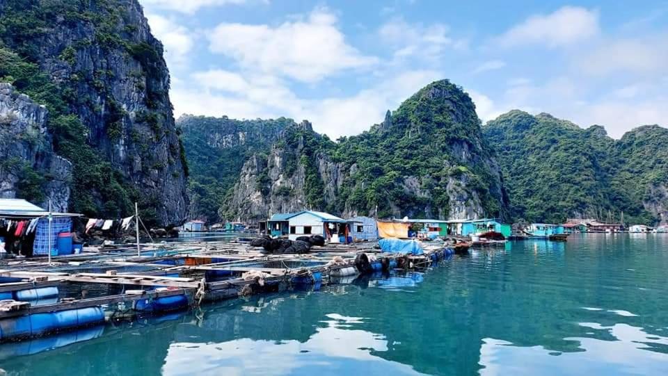 Aroma Cat Ba Sea View Hotel