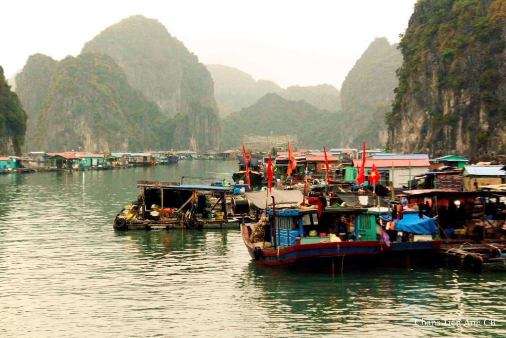 Aroma Cat Ba Sea View Hotel