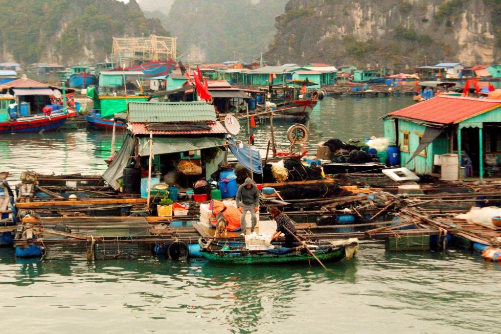 Aroma Cat Ba Sea View Hotel