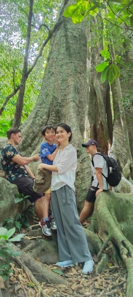 Aroma Cat Ba Sea View Hotel