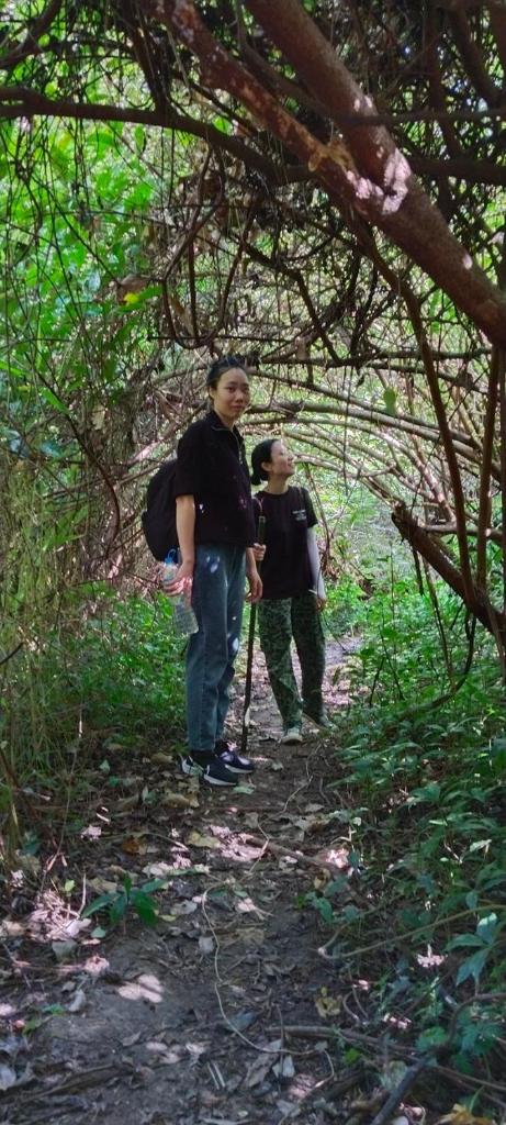 Aroma Cat Ba Sea View Hotel