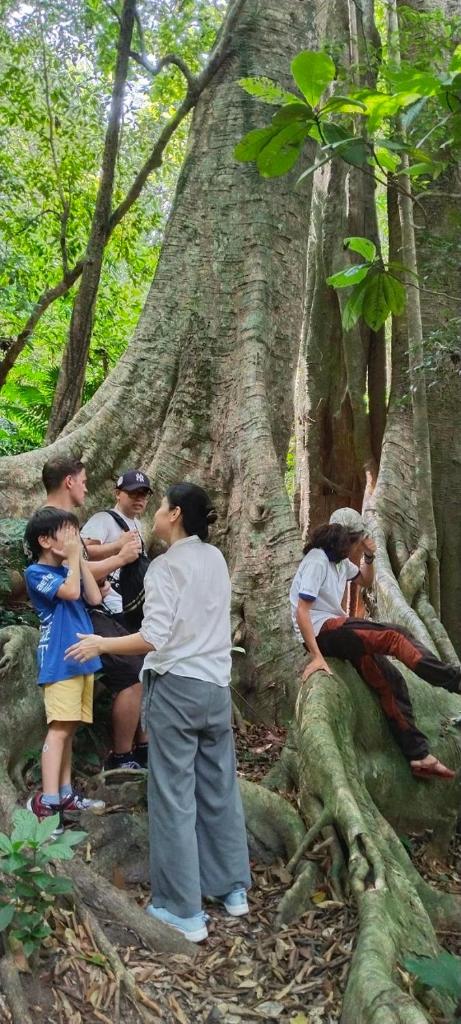 Aroma Cat Ba Sea View Hotel