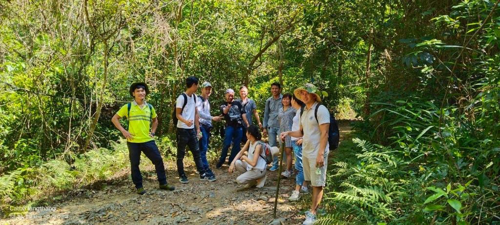 Aroma Cat Ba Sea View Hotel