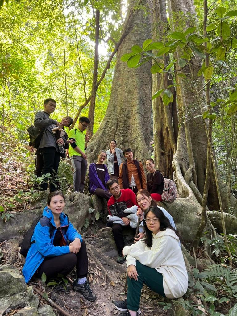 Aroma Cat Ba Sea View Hotel