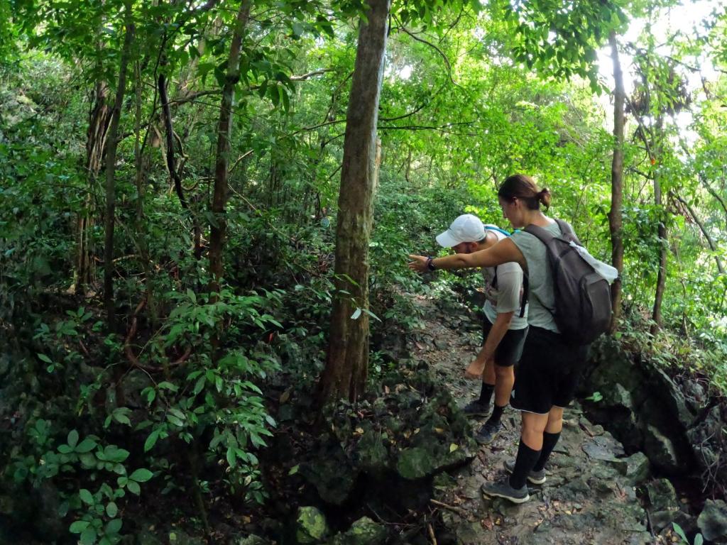 Aroma Cat Ba Sea View Hotel