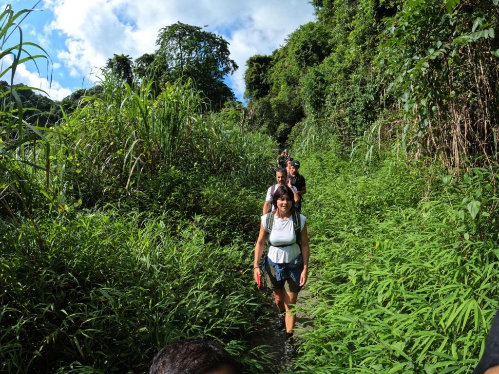 Aroma Cat Ba Sea View Hotel