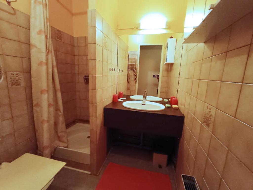 une salle de bain avec un lavabo et une douche dans l'établissement Frolise, T2, centre, wifi, parking couvert gratuit, 4 personnes, à Luchon