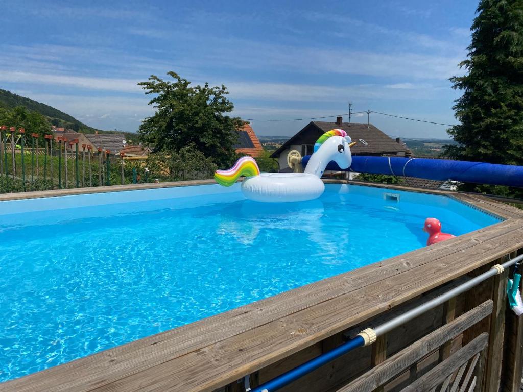 - une piscine avec un jouet dans l'eau dans l'établissement GITE LES CHATAIGNIERS, à Haegen