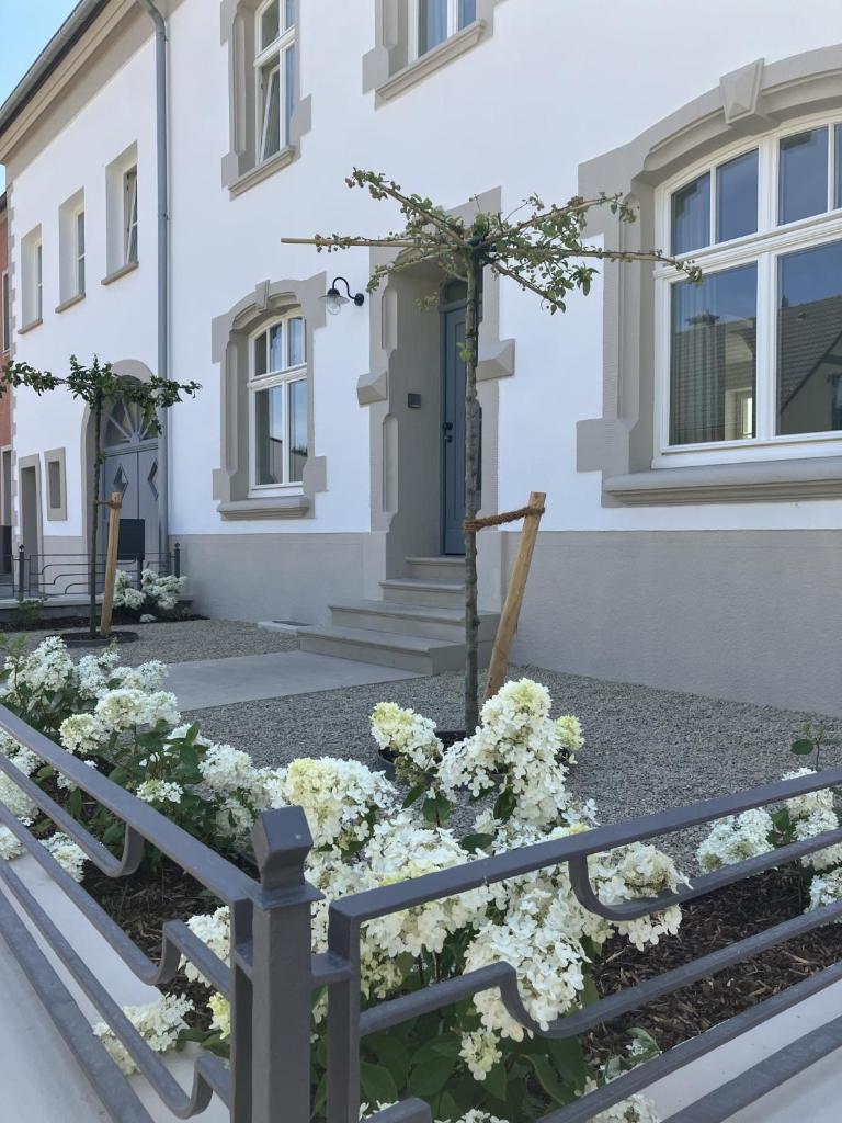 Gästehaus Cantzheim 5