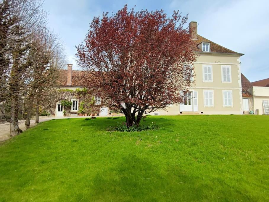 un arbre dans un champ devant une maison dans l'établissement Clos Saint-Priscus - Gîte de Charme - Les Bastides d'Edouard en Bourgogne, à Saint-Bris-le-Vineux
