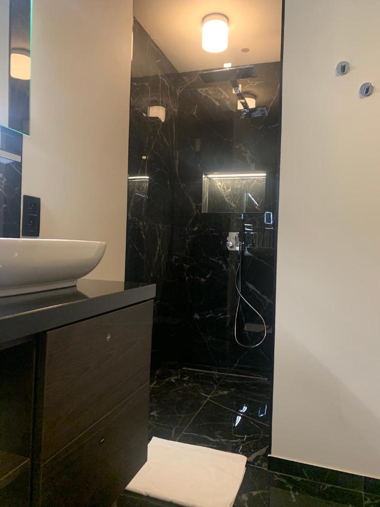 Botanique Suites AirBnB, Antwerp 6
