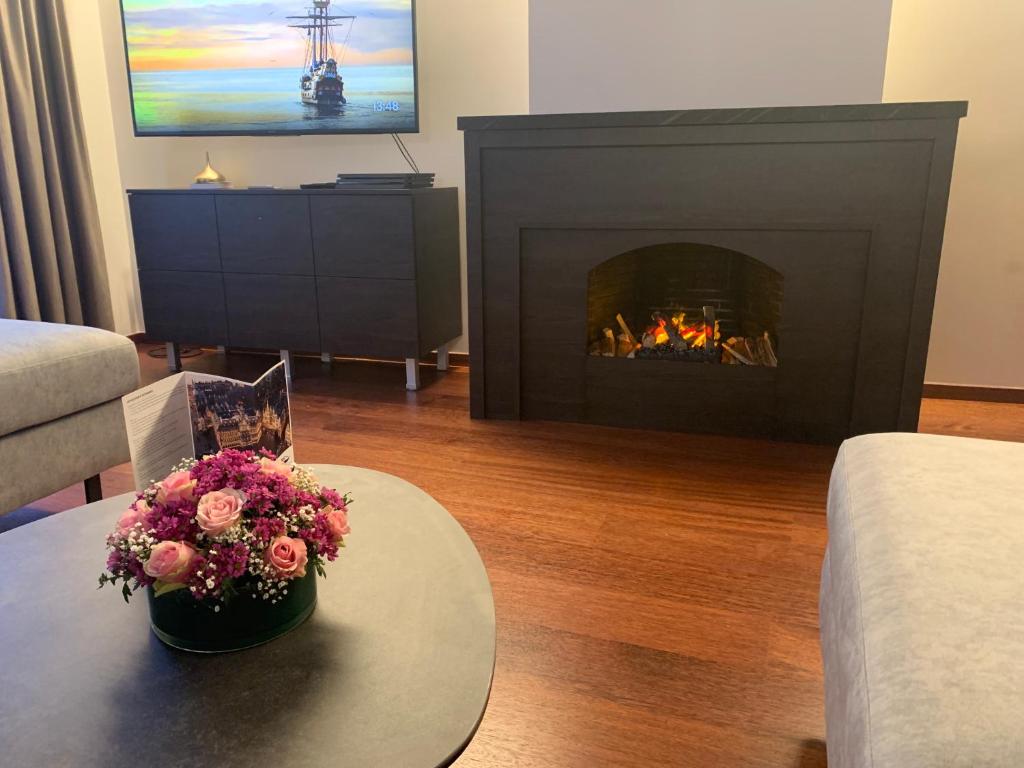 Botanique Suites AirBnB, Antwerp 4