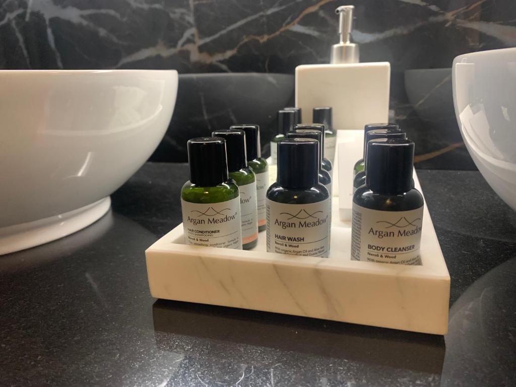 Botanique Suites AirBnB, Antwerp 8