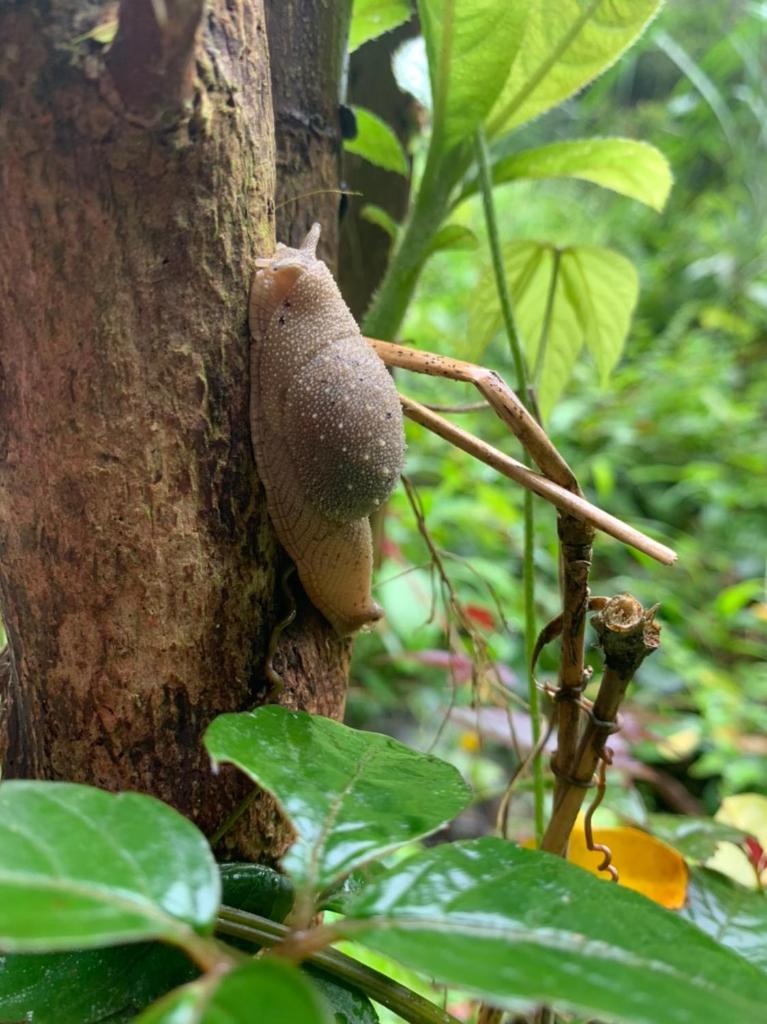 Aroma Cat Ba Sea View Hotel