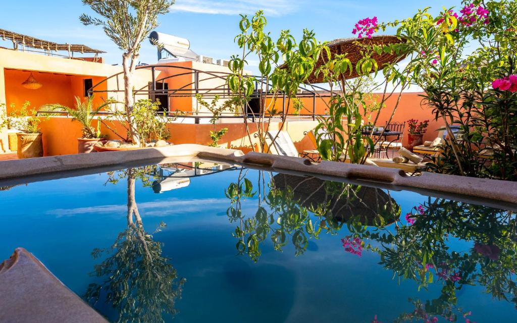 un bassin d'eau avec des plantes et un bâtiment dans l'établissement Riad L'orange Bleue, à Marrakech