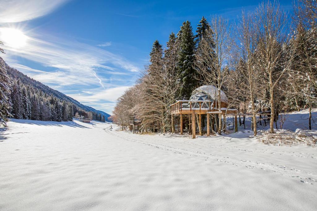 Une route enneigée avec un kiosque dans la forêt dans l'établissement Dôme panoramique tout confort au cœur du Vercors, à Autrans