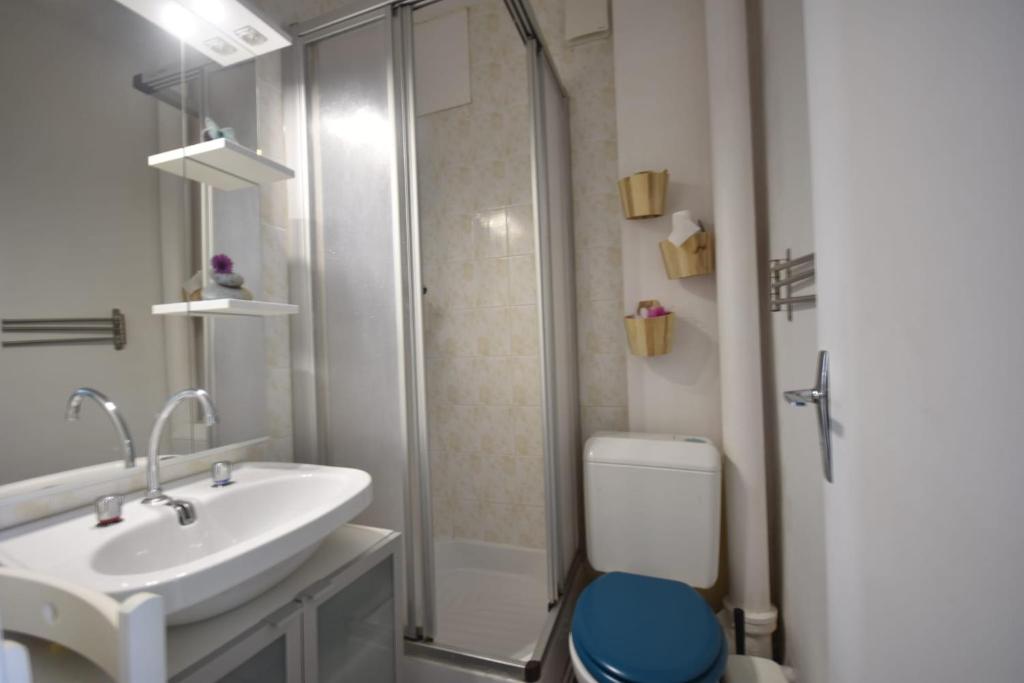 une salle de bain avec un lavabo, des toilettes et une douche dans l'établissement Le p'tit Cozy, à Saint-Étienne-en-Dévoluy
