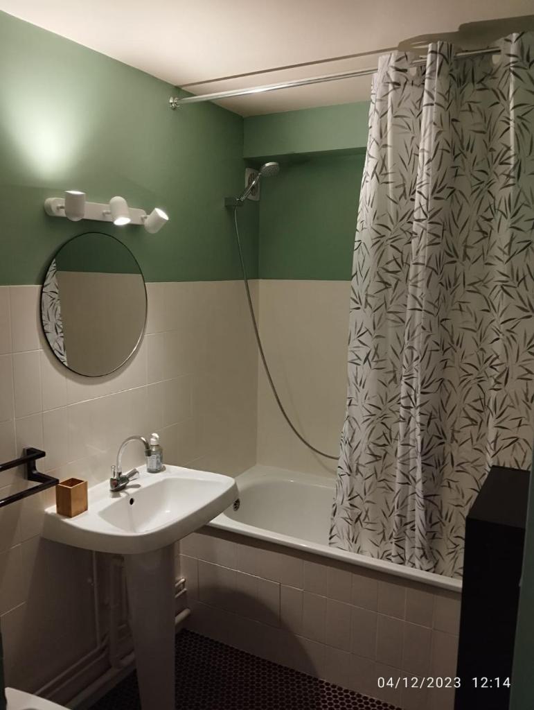 une salle de bain avec un lavabo et une baignoire dans l'établissement Proches des pistes F2 36m2 4-6 pers 2 étoiles, à Besse-et-Saint-Anastaise