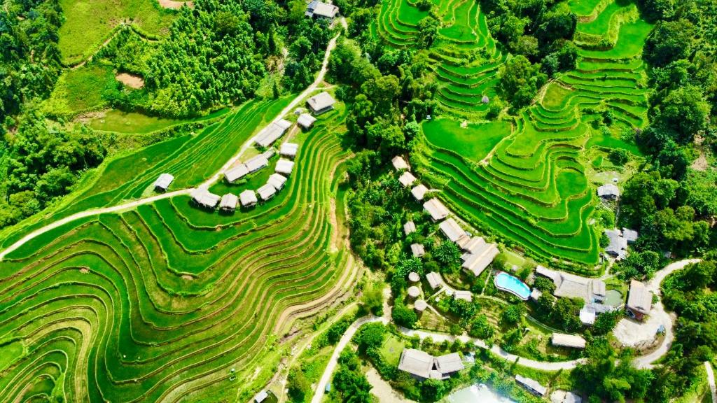 Bungalow Hoàng Su Phì